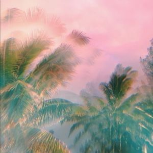 Meet your Posher, Diamond